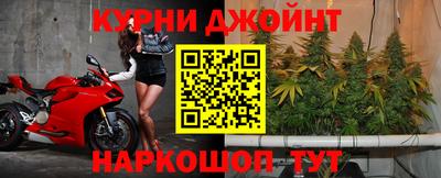 эйфоретик Новозыбков