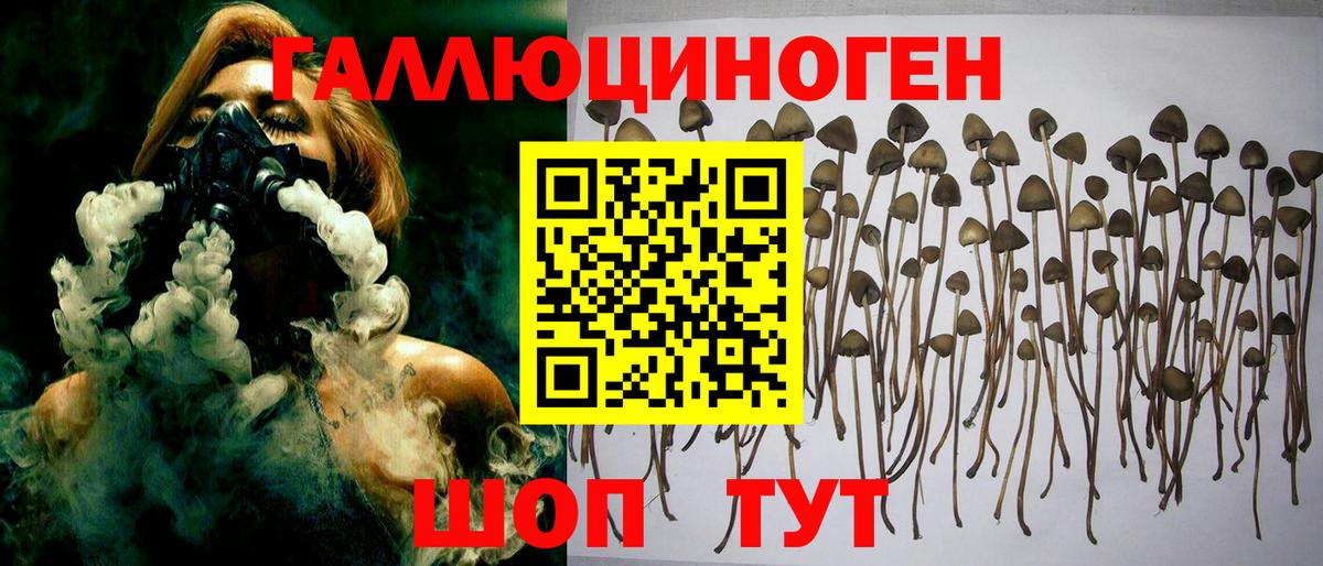 Галлюциногенные грибы Psilocybine cubensis Шарыпово